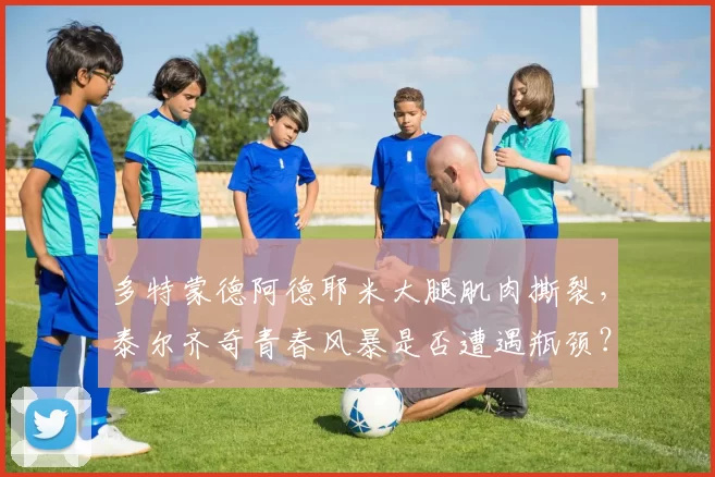 多特蒙德阿德耶米大腿肌肉撕裂，泰尔齐奇青春风暴是否遭遇瓶颈？