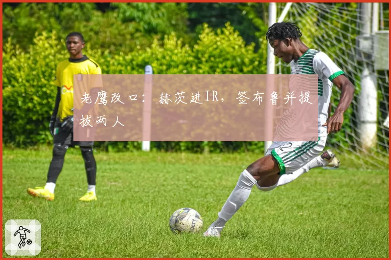 老鹰改口：赫茨进IR，签布鲁并提拔两人