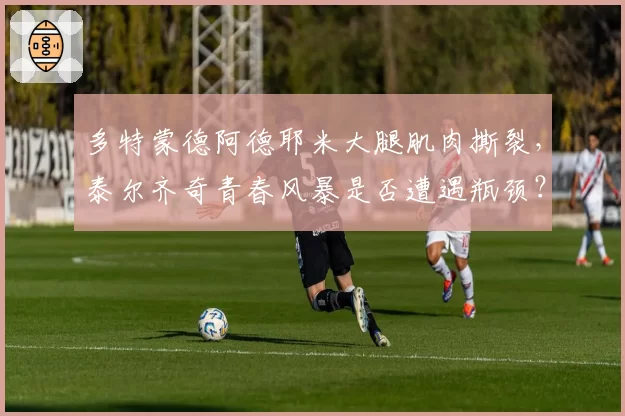 多特蒙德阿德耶米大腿肌肉撕裂，泰尔齐奇青春风暴是否遭遇瓶颈？